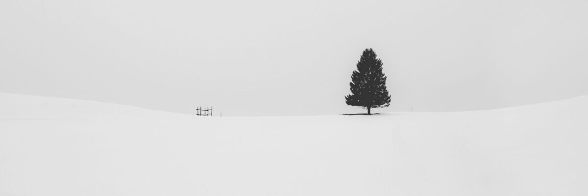 Black and White Photography
