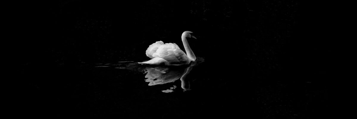 Black and White Photography