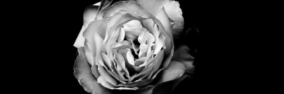 Black and White Photography